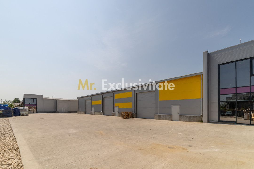 Inchiriere hala noua zona Bascov la DN 7C - imaginea 8