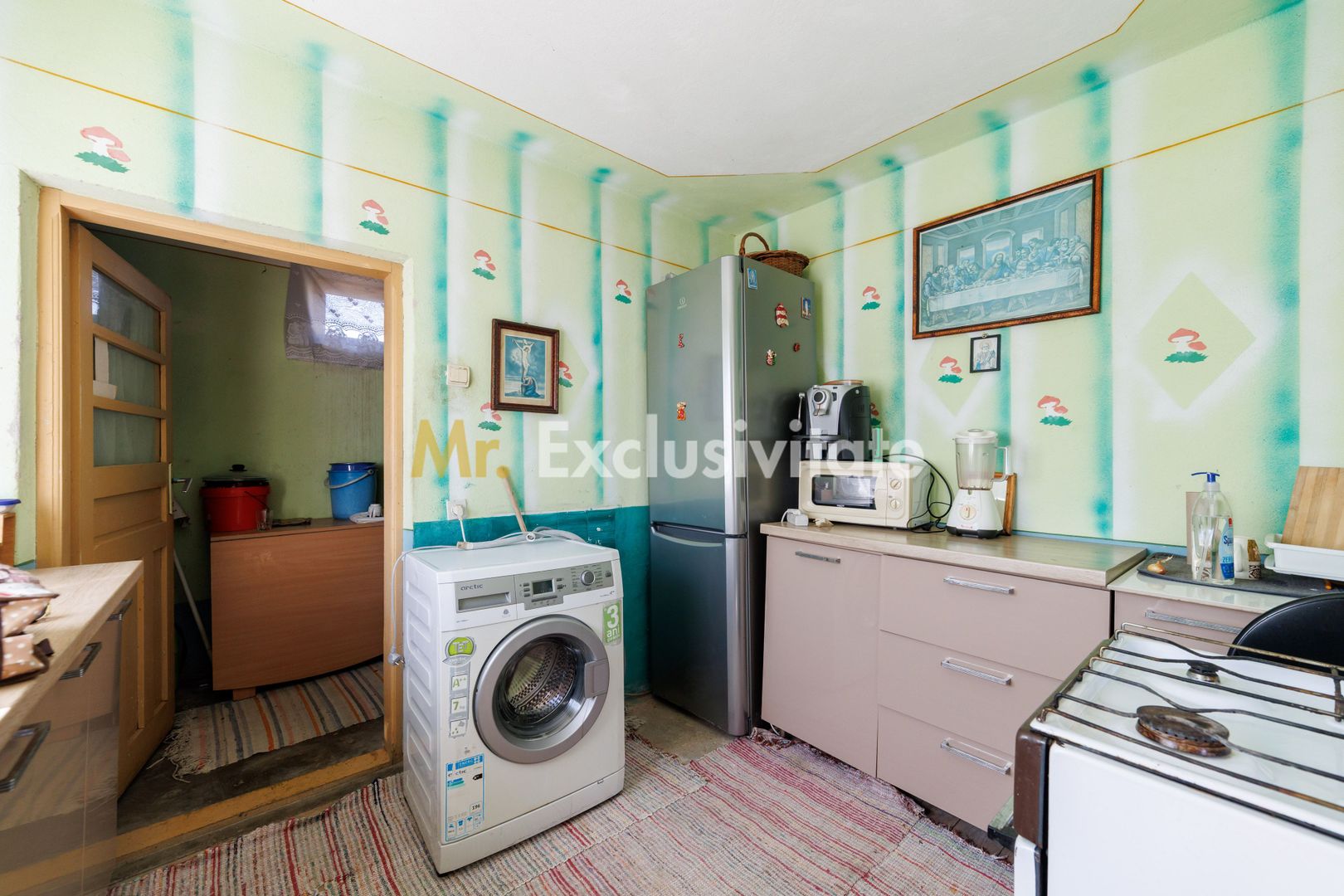 CASA SI GOSPODARIE DE VANZARE – SPINENI, OLT | 4.000 MP TEREN - imaginea 5