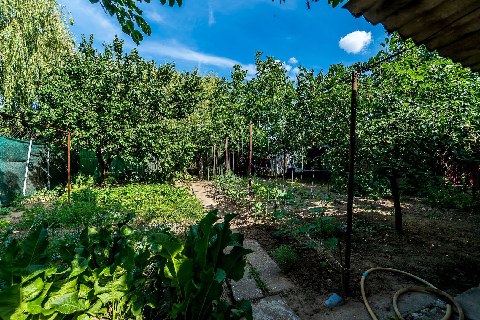 Imagine 8 - Casa 3 camere, bucatarie si baie, in zona centrala din Chisineu-Cris
