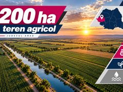 200 ha teren agricol de vanzare in Arad