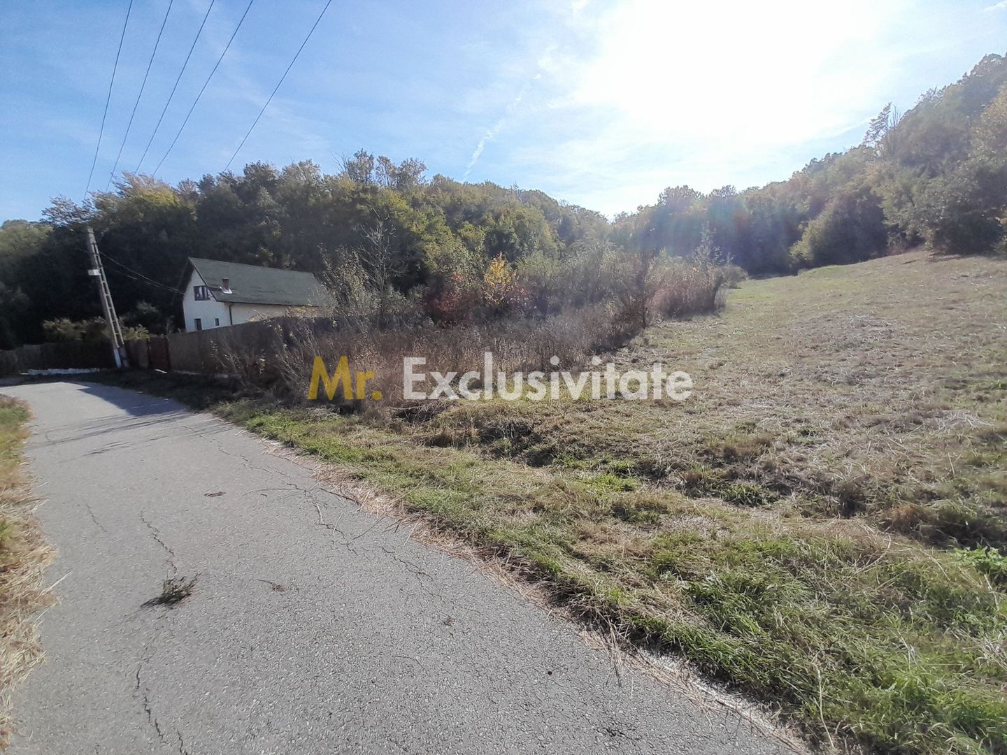 TEREN DE VANZARE IN BABANA, ARGES,  LANGA PADURE - imaginea 2