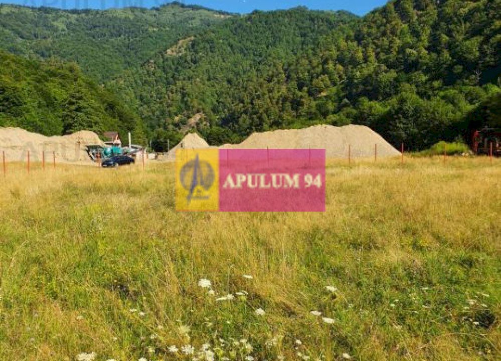 Teren Județul Vâlcea - Brezoi, Valea lui Stan