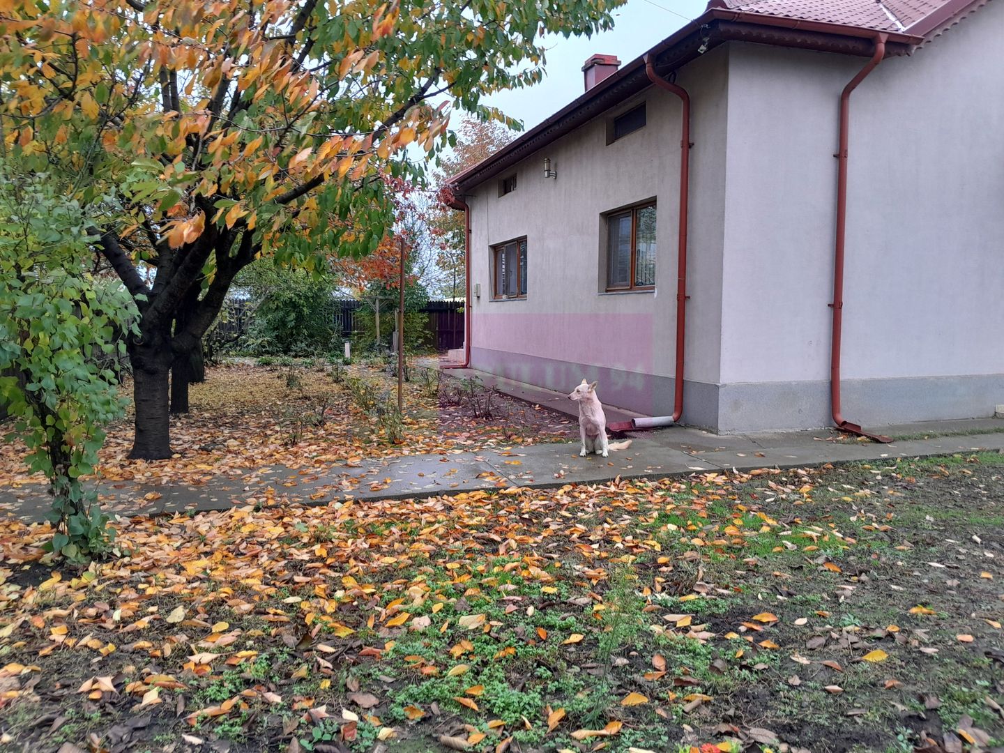 DE VANZARE CASA IN COM. BRANESTI (IF)