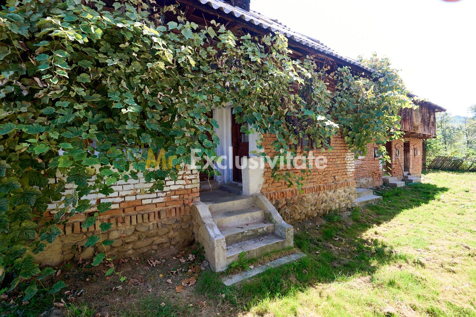 Casa cu teren de 1.200 mp si livada–Badesti, comuna Pietrosani, Arges - imaginea 3
