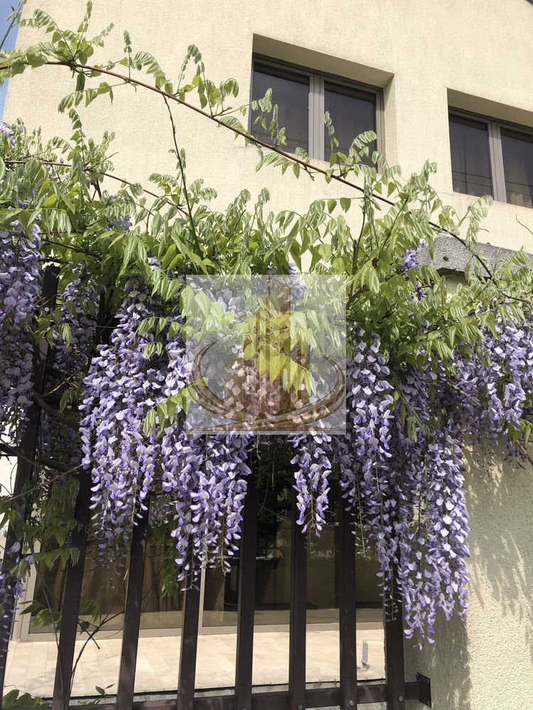 Vilă spectaculoasă în zona Brâncoveanu | 270 mp | Garaj| Curte proprie - imaginea 4