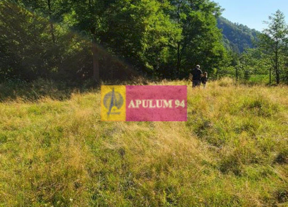 Teren Județul Vâlcea - Brezoi, Valea lui Stan