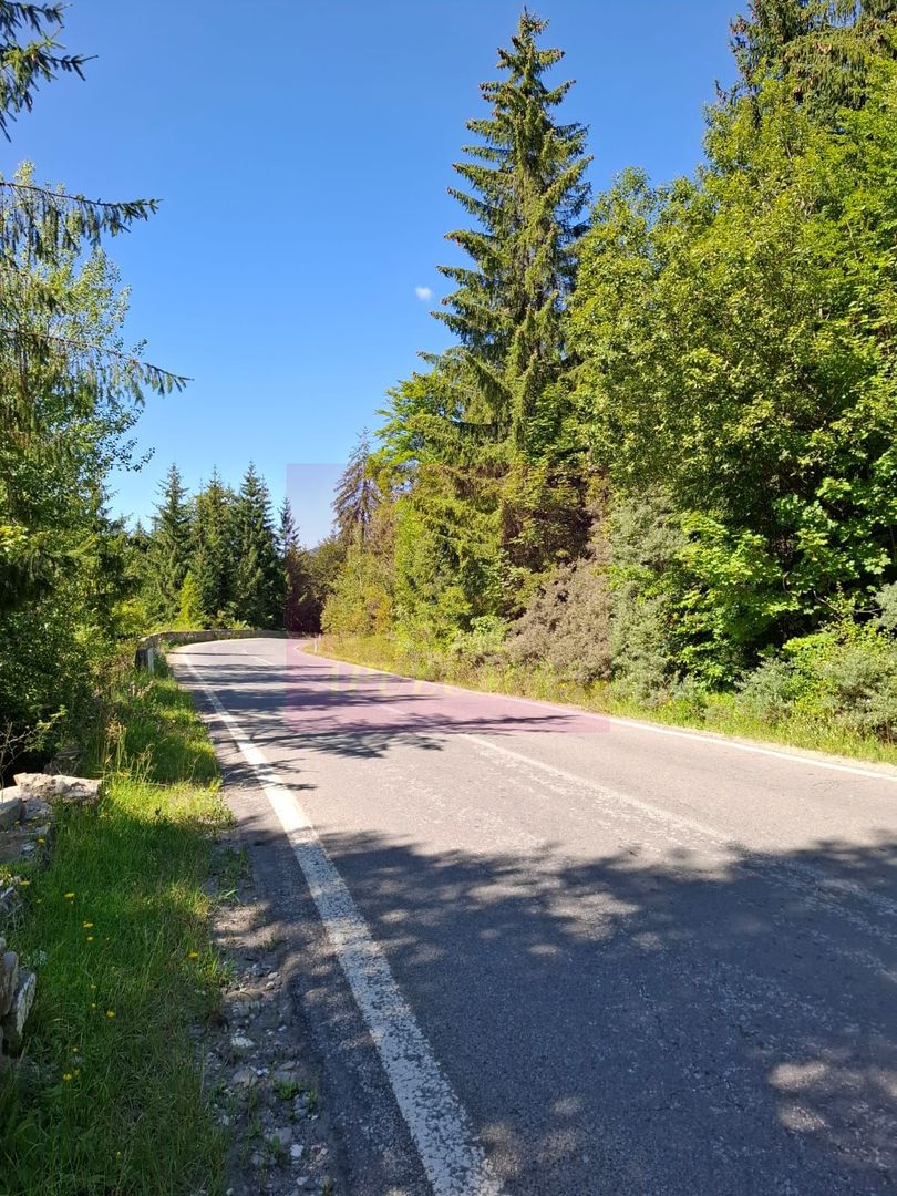 Teren de vânzare în zona Cota 1000 – Sinaia - imaginea 3
