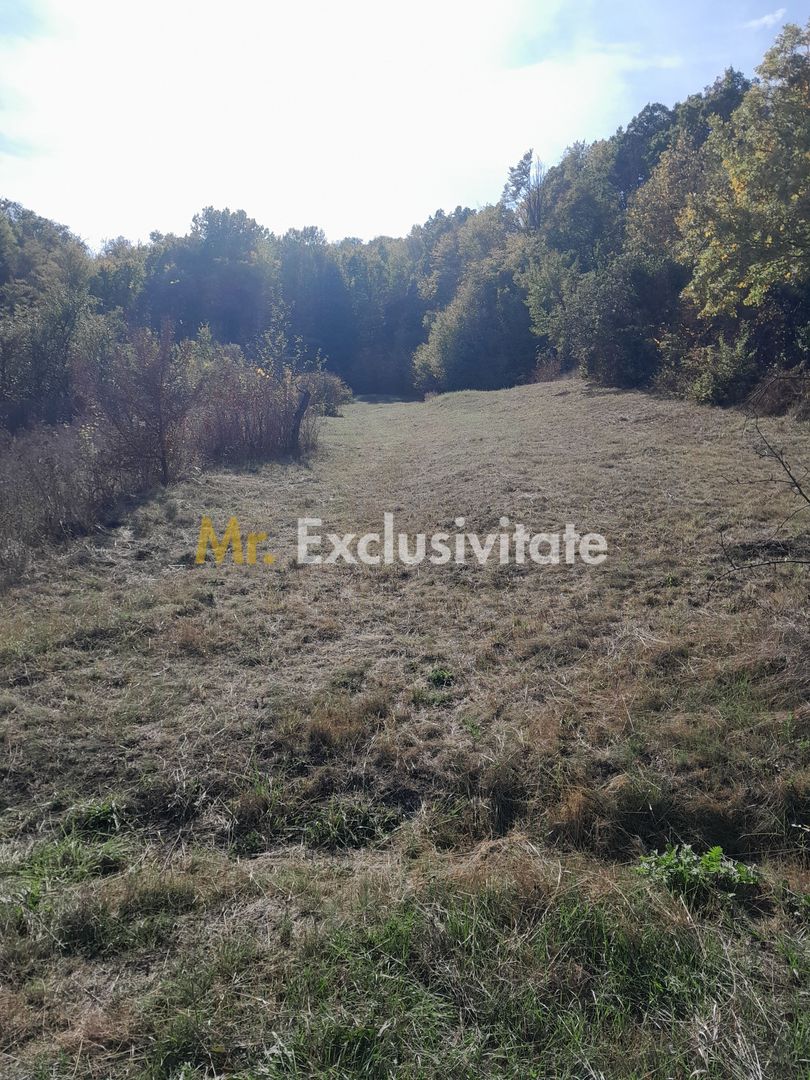TEREN DE VANZARE IN BABANA, ARGES,  LANGA PADURE - imaginea 6