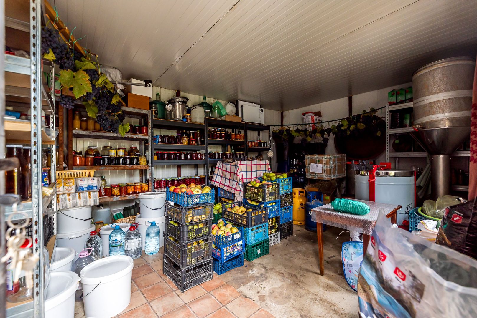 Imagine 16 - 🏡 Mai mult decât o casă: libertatea de a trăi aproape de natură