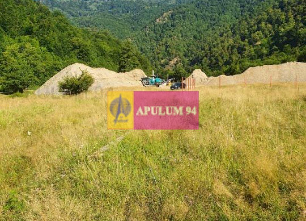 Teren Județul Vâlcea - Brezoi, Valea lui Stan