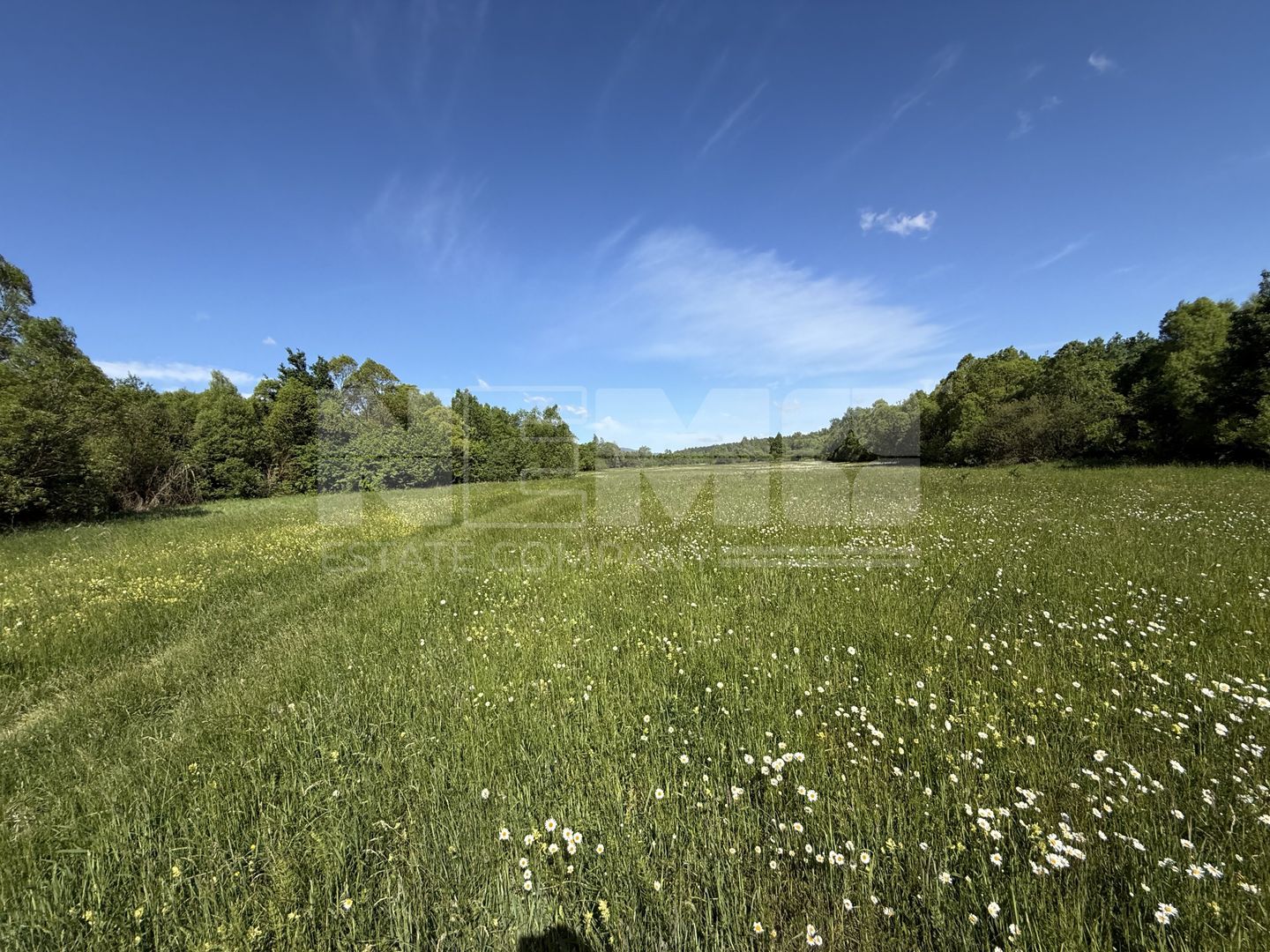 Teren de vânzare | Hardic | 2.300 mp - imaginea 6
