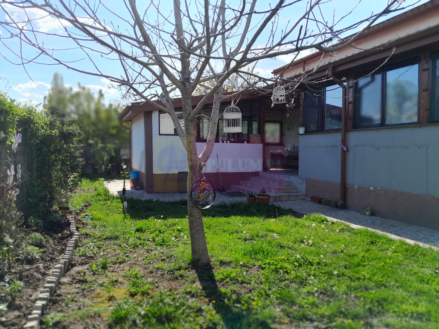 DE VANARE CASA P+M 5 CAM  GIURGIU