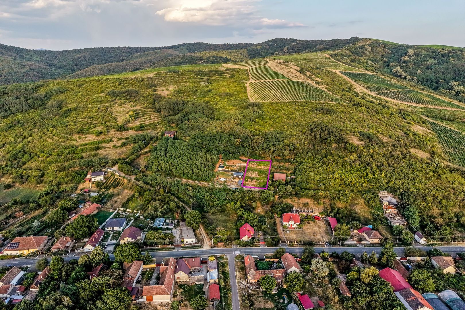 Imagine 3 - Teren pe deal, 1.150 mp, în Miniș, front 26 m, Drumul Vinului