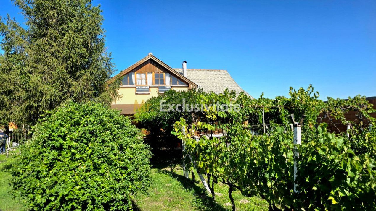 casa 3 camere Viile Satu Mare - imaginea 12