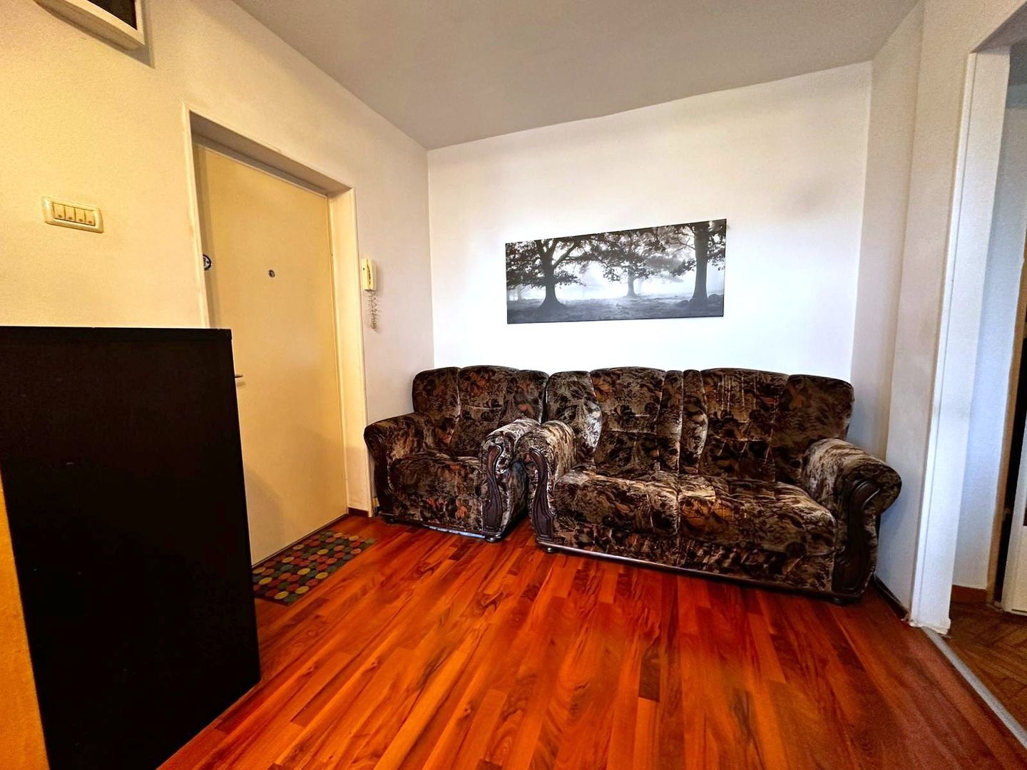 Apartament 2 camere de închiriat mobilat în Banu Manta – Titulescu, - imaginea 8