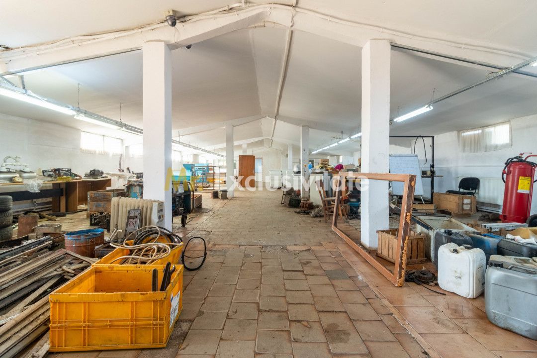 Hala industrial-comerciala Căteasca, Argeș | 12.600 mp teren - imaginea 10