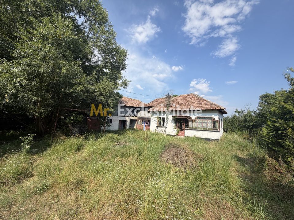 Casă bătrânească + teren 1.032 mp, Purcăreni, Argeș - imaginea 5