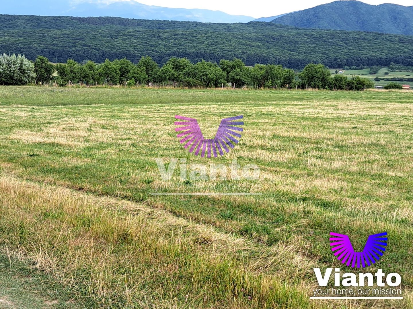 Oportunitate-Teren Extravilan 3100 mp cu vedere Panoramica-Tropinii Noi-Rasinari