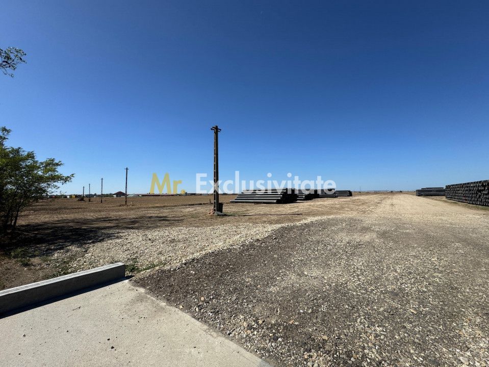 Teren extravilan de vânzare – Căteasca, Argeș | 27.201 mp | Deschidere 58,55 m - imaginea 4