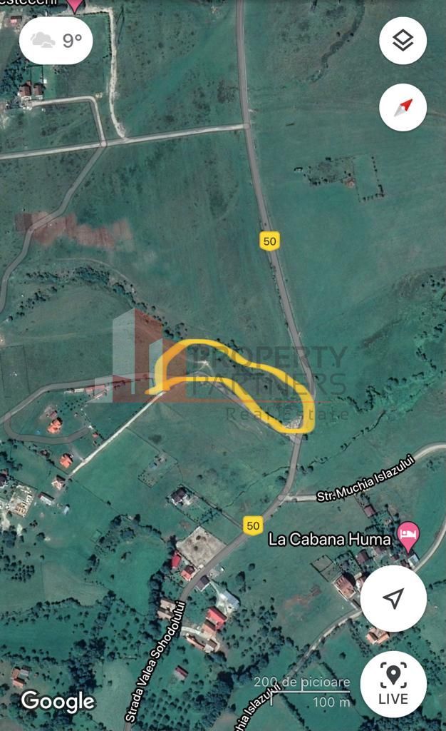 Teren Sohodol 10.000 mp - imaginea 7