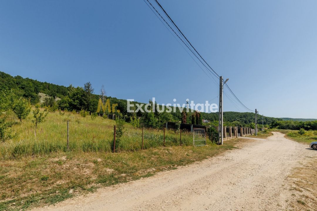 Teren intravilan Ștefănești Valea Mare Podgoria - imaginea 3