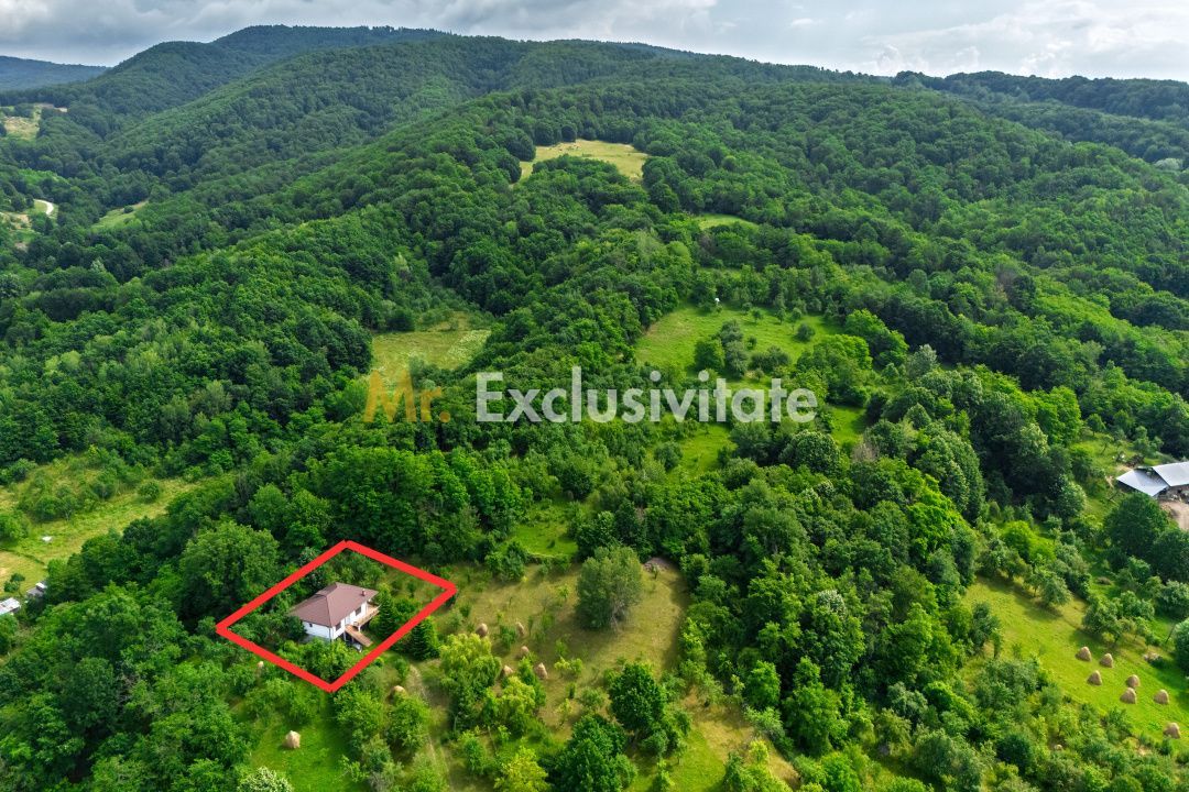 Casa moderna si casa bunicii + 6300 mp teren,Oaza autentica in Corbi Arges- - imaginea 23