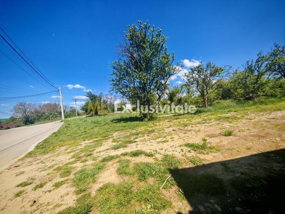 Teren intravilan 2.000 mp in Mioveni – Ideal pentru casa sau investitie! - imaginea 3