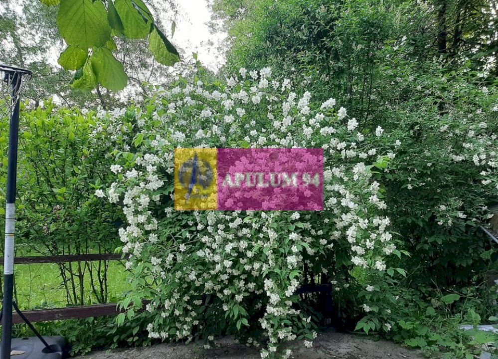 Casă de vânzare în Provița de Jos