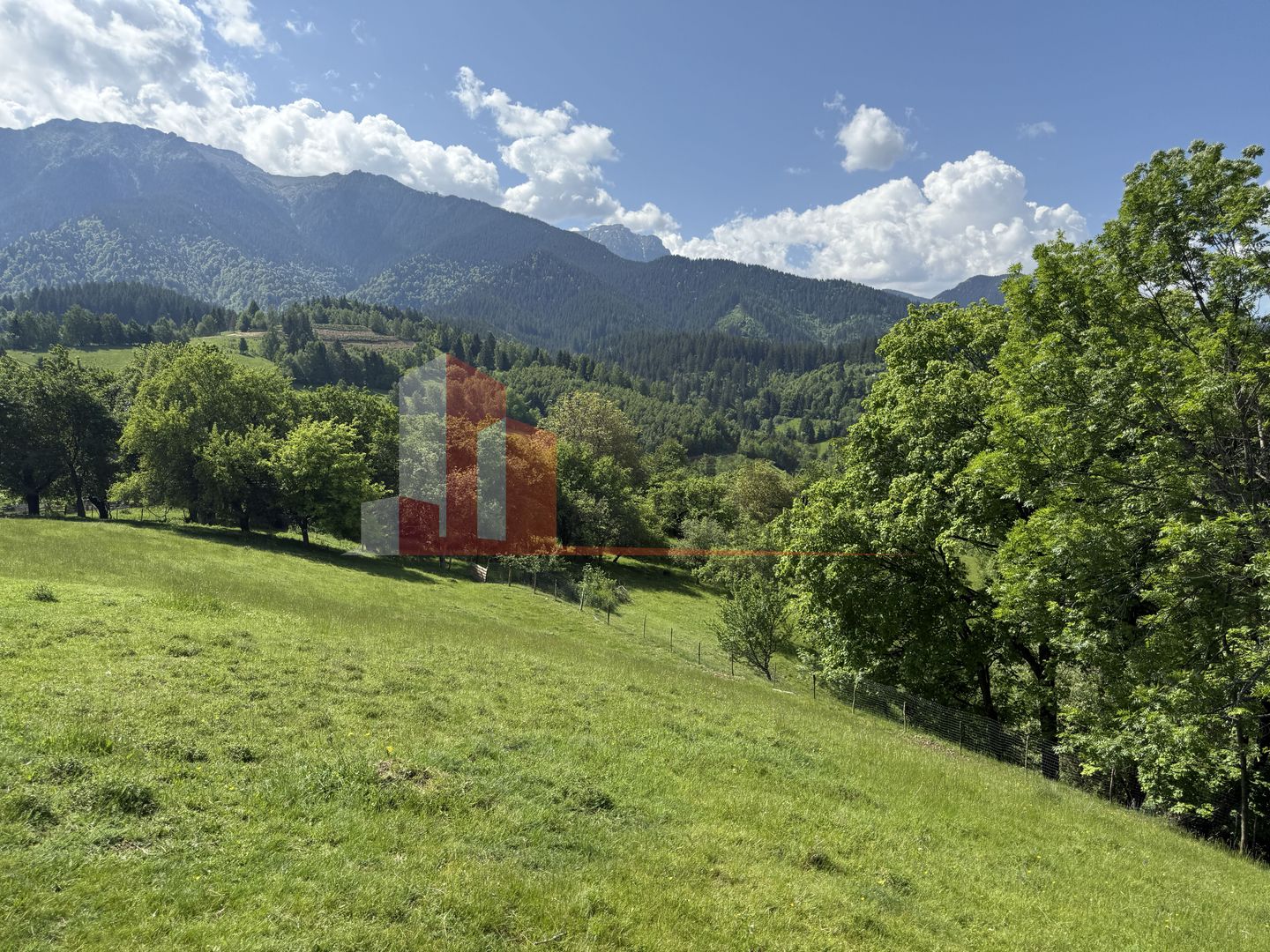 Teren cu priveliște spectaculoasă în Bran – Sohodol - imaginea 13
