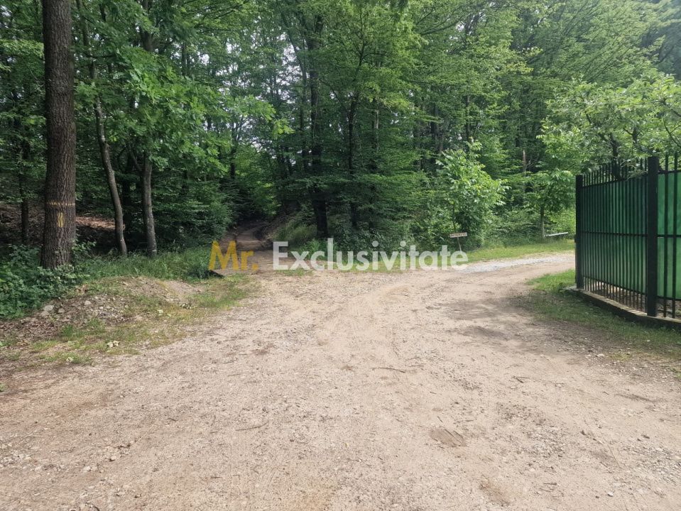 Teren extravilan Pitesti - str. Balotesi!! - imaginea 3