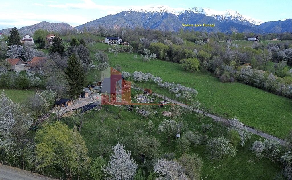 2  A-Frame | Bran Sohodol| 2 cabane | Teren 3.812 mp | Operațional | - imaginea 15