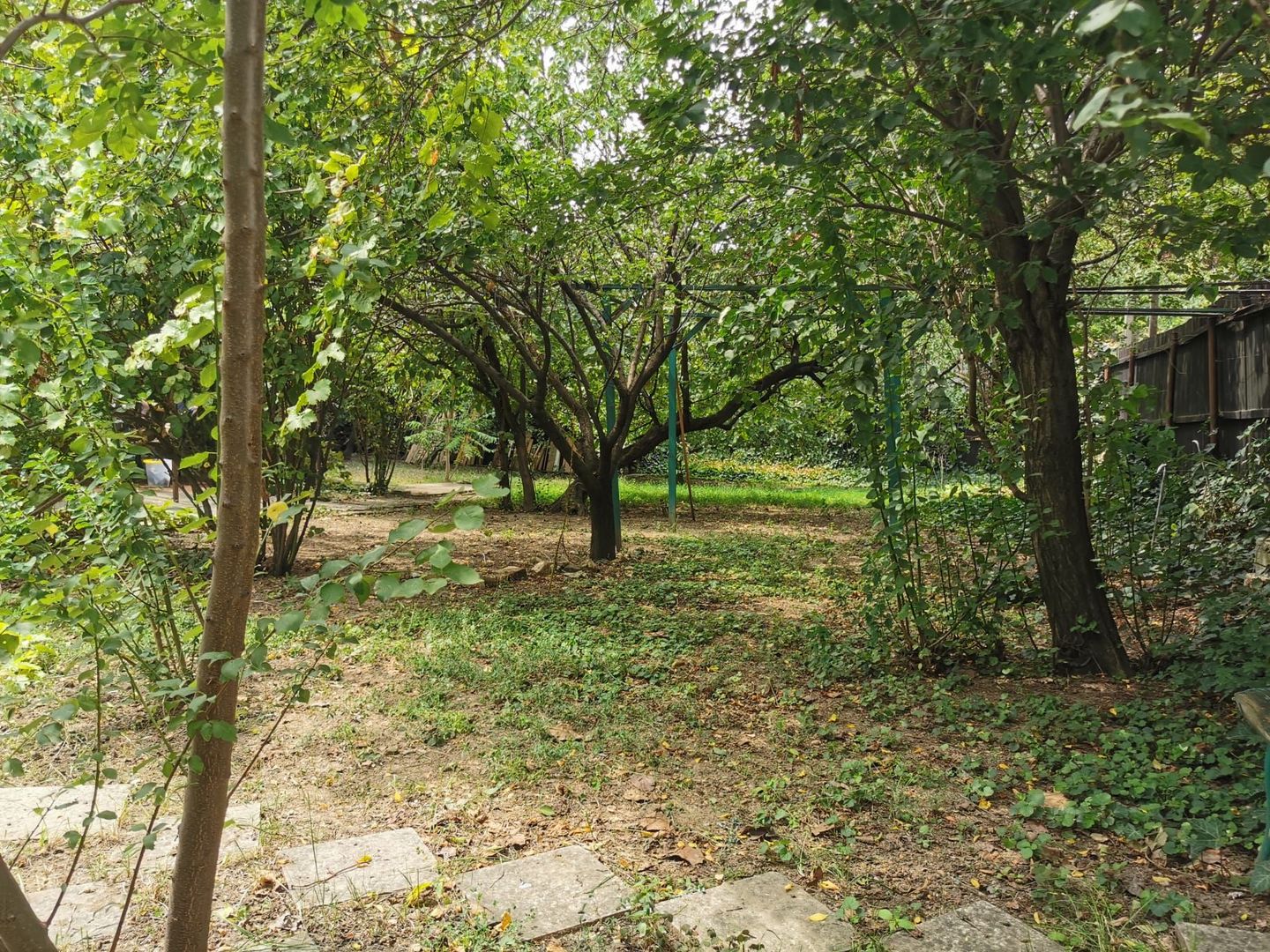 Cel mai ieftin teren central! -  strada Acvila nr 16.  -13 Septembrie - imaginea 9
