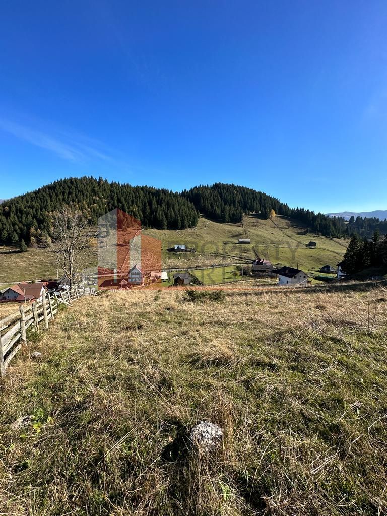 Teren Fundatica intravilan 4500 mp - imaginea 9
