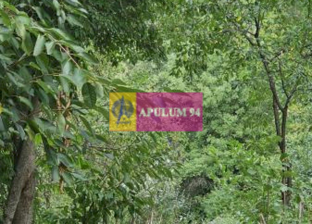 Casă de vânzare în Provița de Jos