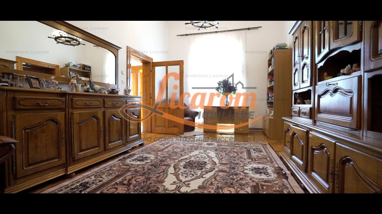 Oferta Conac boieresc P+M,teren 20400 mp - imaginea 12