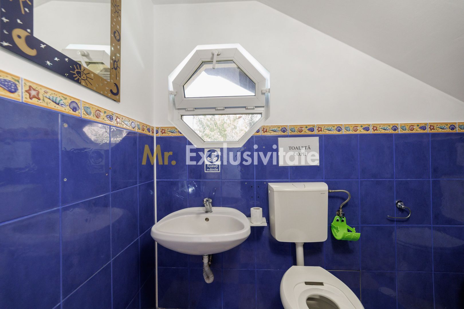 Proprietate multifunctionala | Doua cladiri | 581 mp | Pitesti - imaginea 8