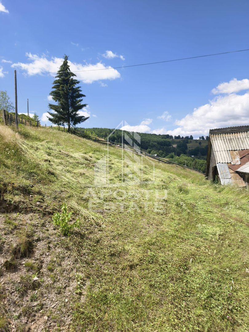 Casă de vacanță la Arieșeni/2 km de Pârtia Vârtop/280MP/1000MP TEREN - imaginea 12