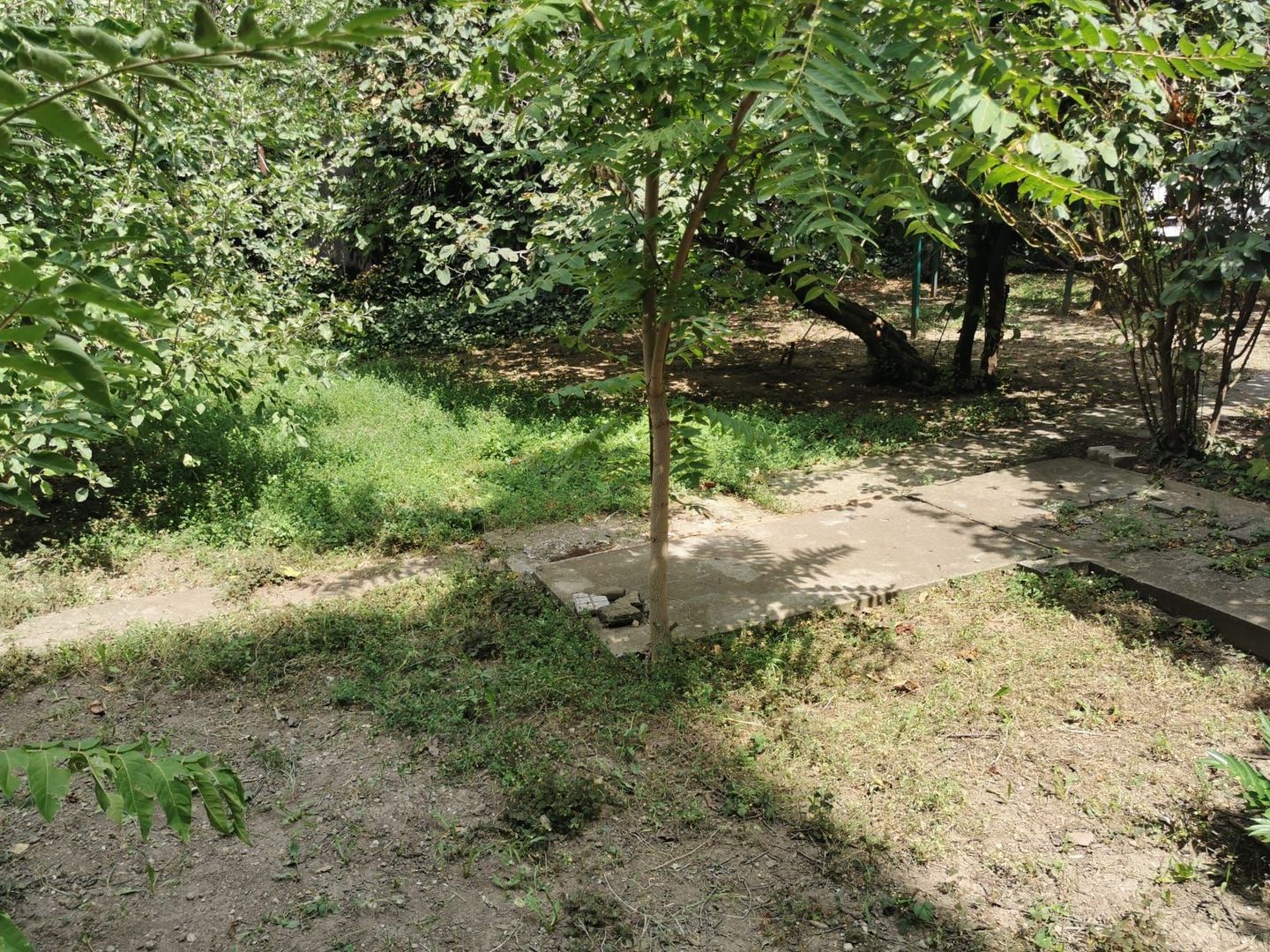 Cel mai ieftin teren central! -  strada Acvila nr 16.  -13 Septembrie - imaginea 8