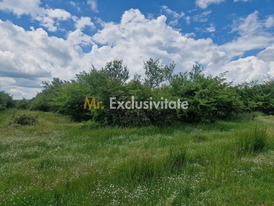 0% Comision!!! Teren intravilan Smeura - str Prunilor! - imaginea 8