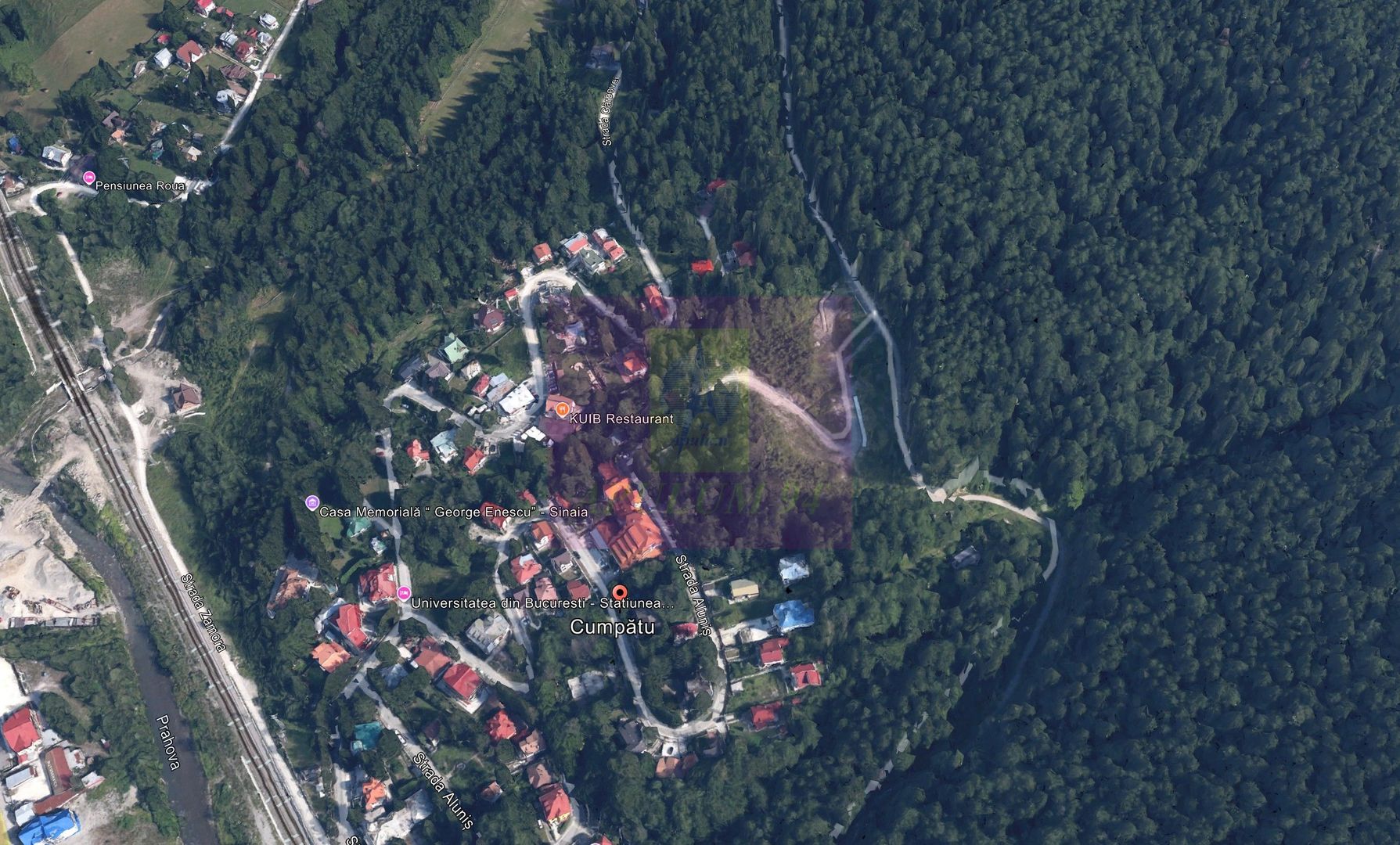 Teren extravilan in Sinaia (25 euro/mp) - imaginea 3