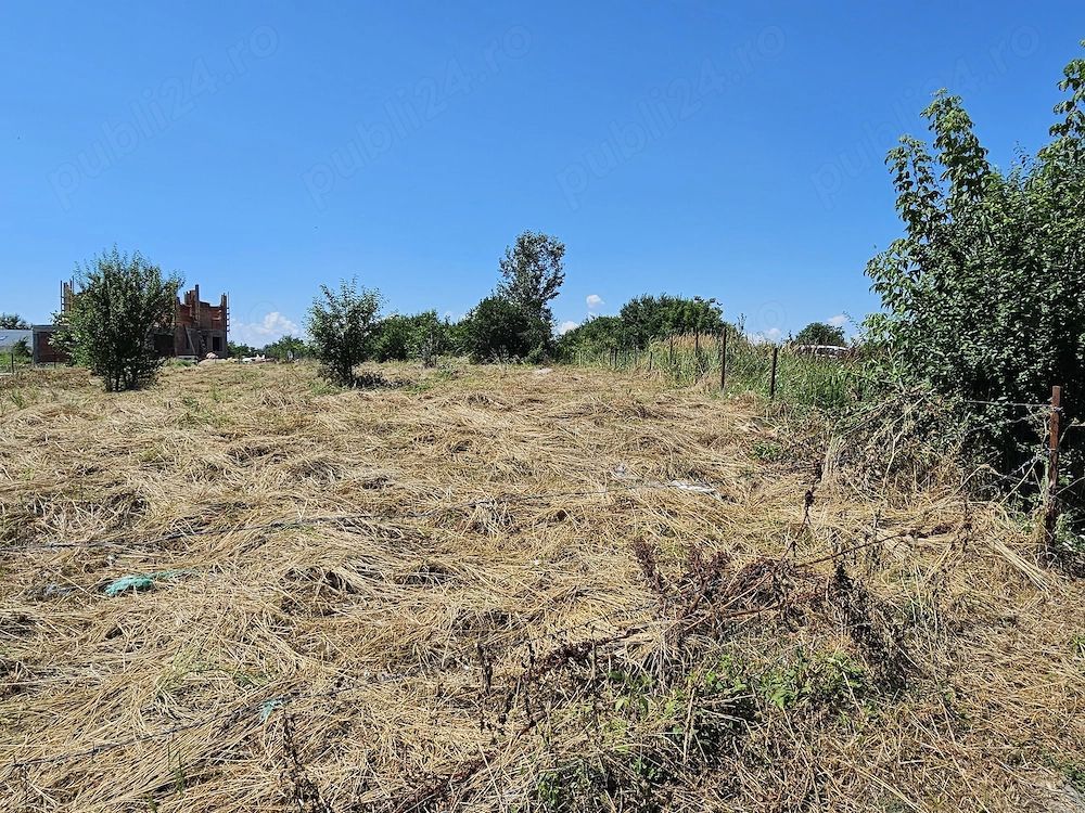 Teren Intravilan 5.000 mp București, Sector 6 (Giulești-Sârbi) - imaginea 3