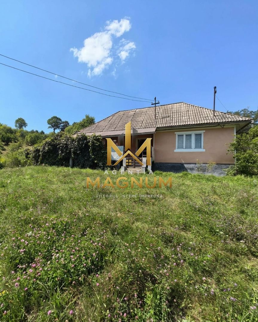 Casa de vanzare in Berinta Maramures