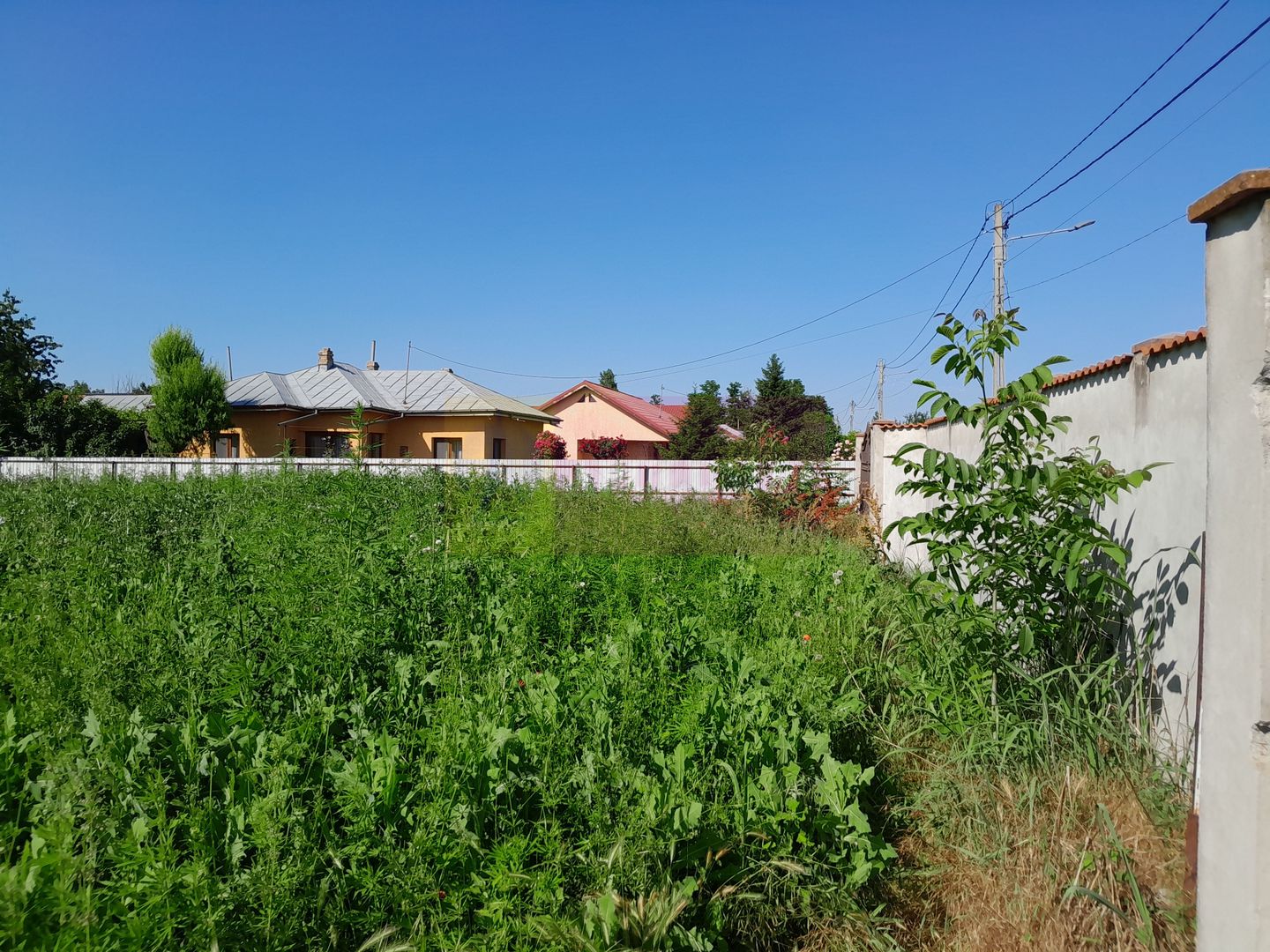 Movilita (IL)-teren de inch. 1800 mp stradal, 30 ml desch, langa Profi