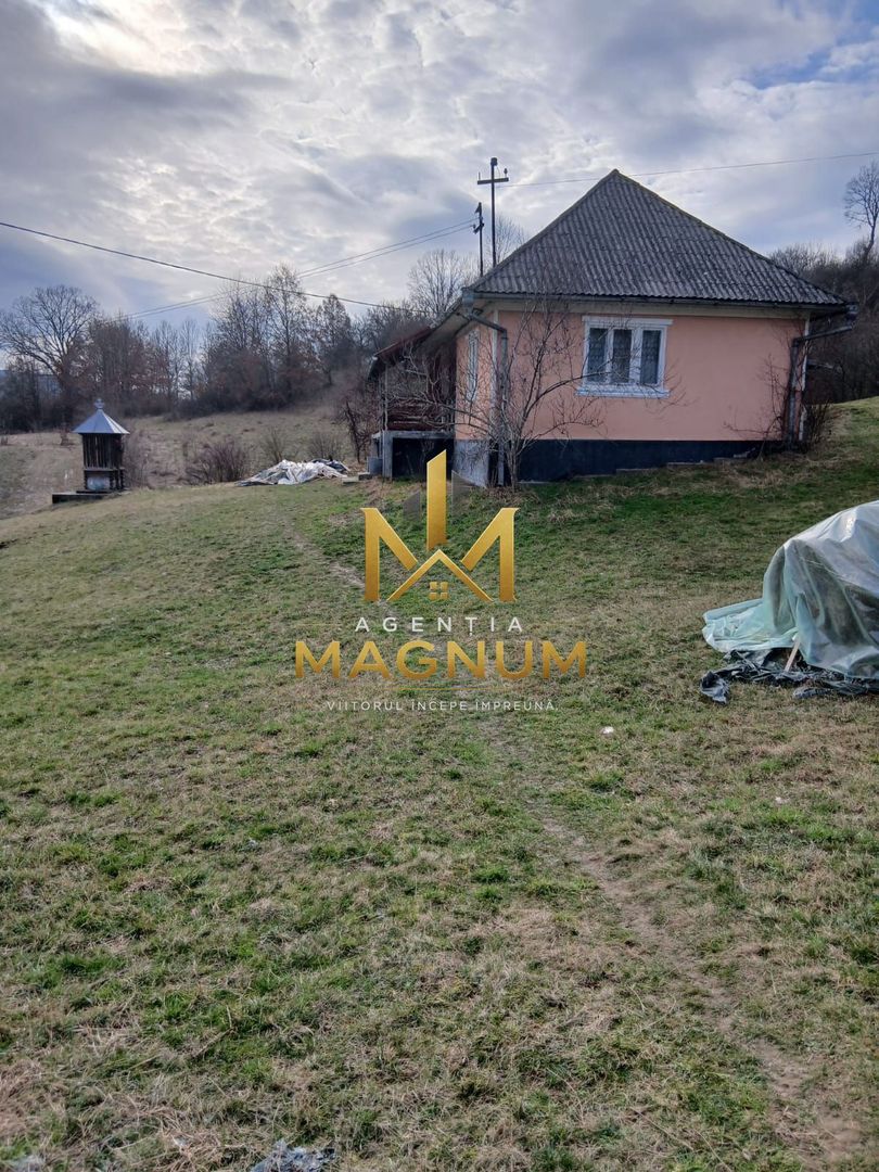 Casa de vanzare in Berinta Maramures - imaginea 9