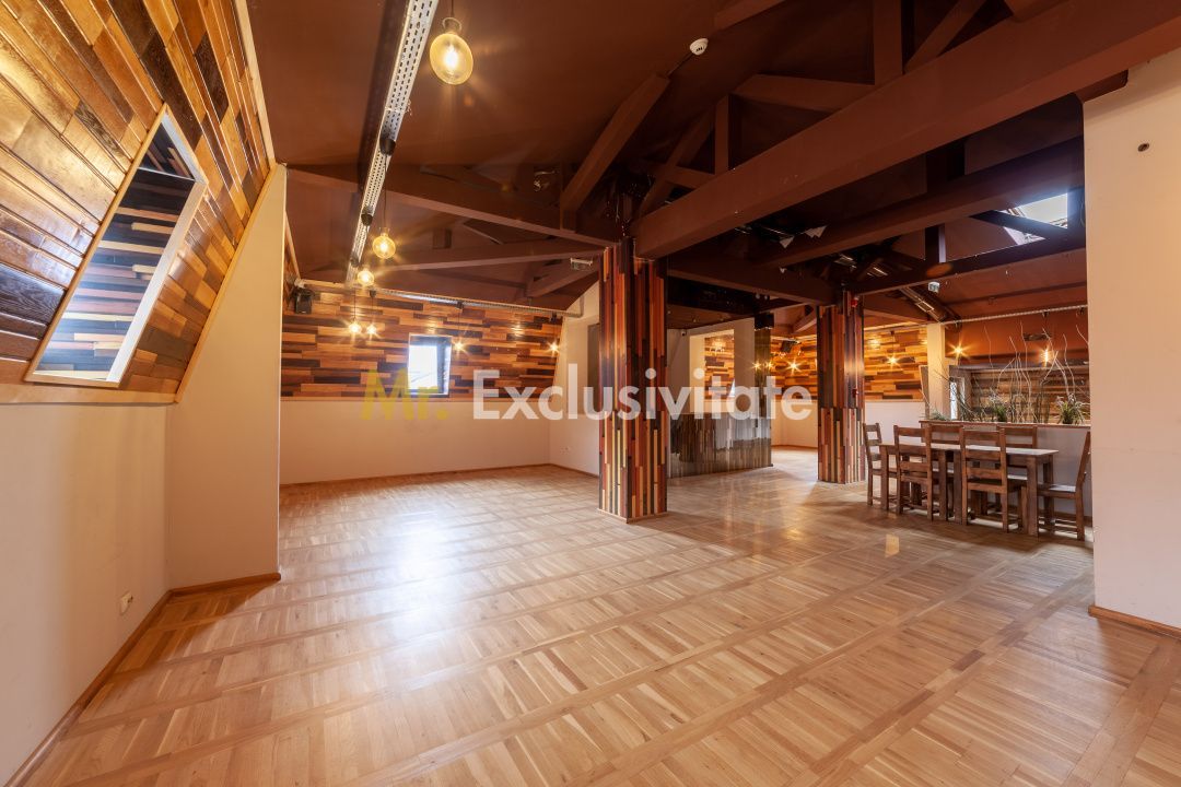 Spatiu comercial premium in vila – Bd. Republicii, Pitesti - imaginea 7