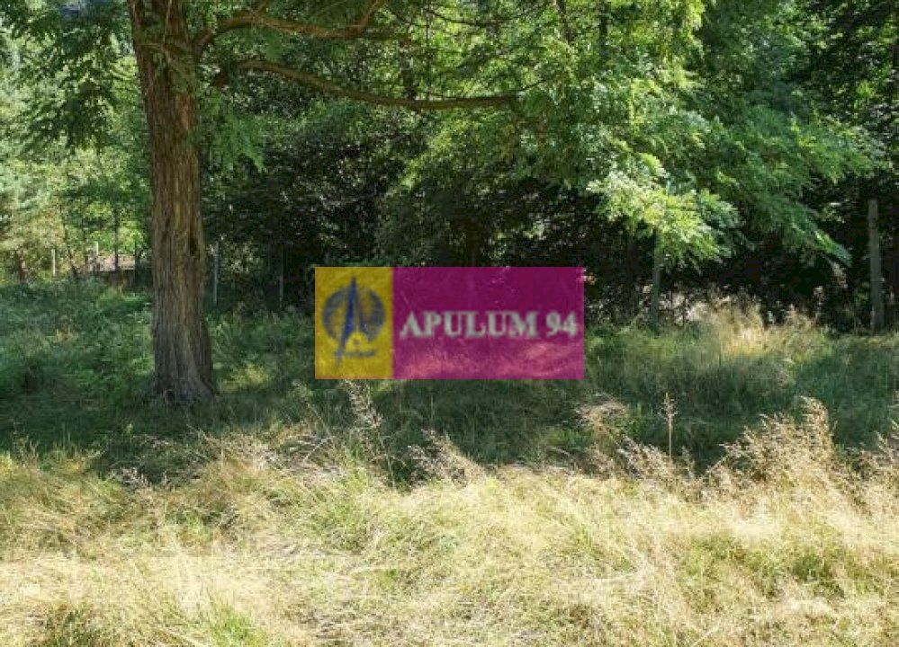 Teren Județul Vâlcea - Brezoi, Valea lui Stan