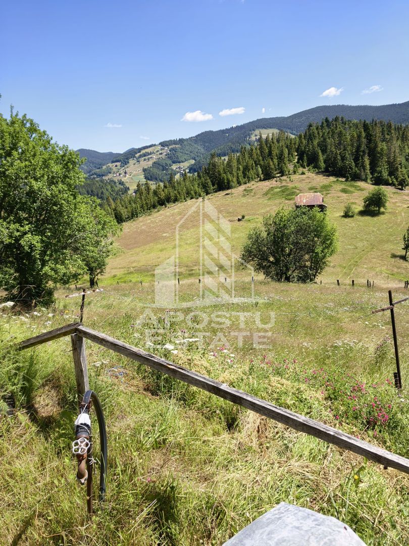 Casă de vacanță la Arieșeni/2 km de Pârtia Vârtop/280MP/1000MP TEREN - imaginea 14