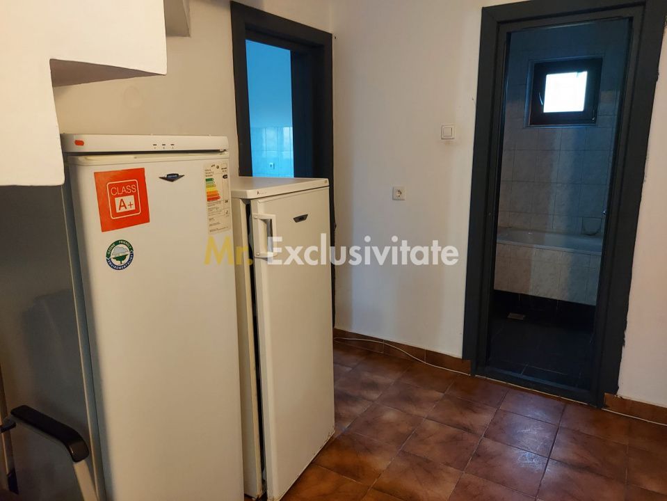 De închiriat: Casa 3 camere si 2 Hale pe 3 000 mp/ Bascov - Argeș - imaginea 16