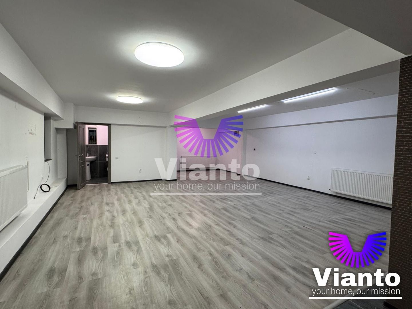 Spatiu comercial vizibilitate stradala 60 mp| Terezian