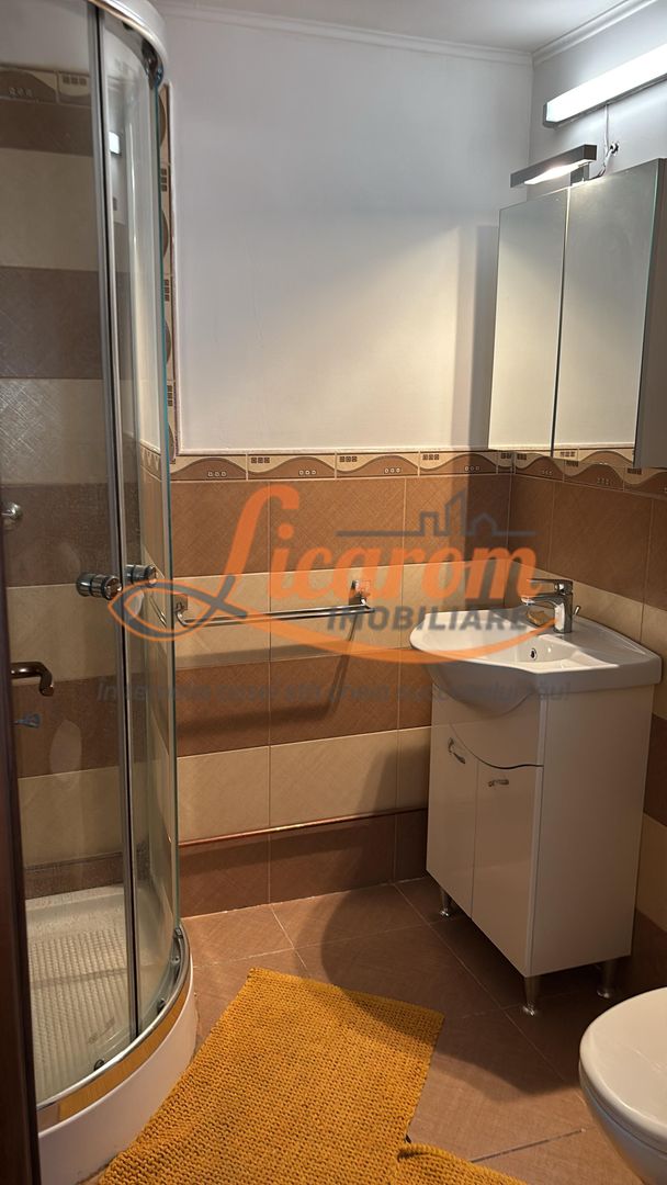 Proprietate tip sasesc cu 2 corpuri de casa, Comuna Vulcan,Brasov. - imaginea 11